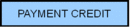 Payment Credits