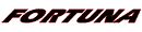 Fortuna Tyres / Van / Fortuna FV500 Fortuna FV 500 logo